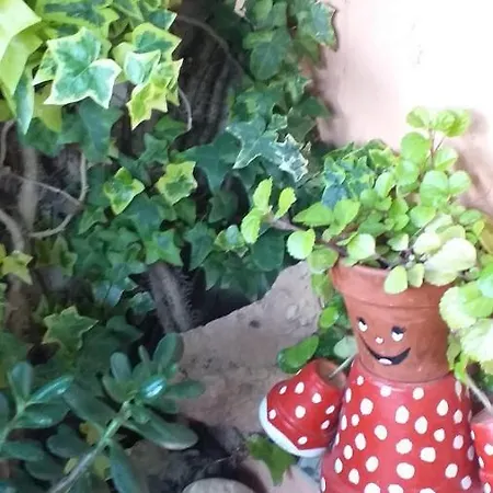 La Casita De La Playa Appartamento *